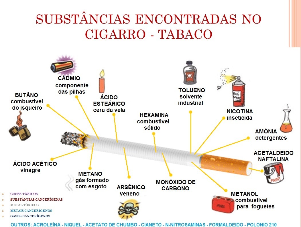 NOSSAS MENTES LIVRES – COMPONENTES DO CIGARRO Tudo que tem no cigarro