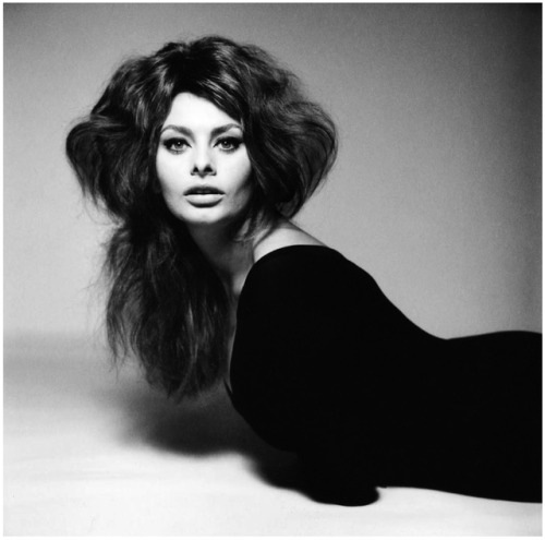 robertocustodioart:Sophia Loren by Richard Avedon 1961