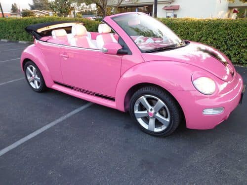 pink barbie beetle