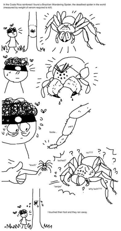 mossworm:DO NOT DO THIS