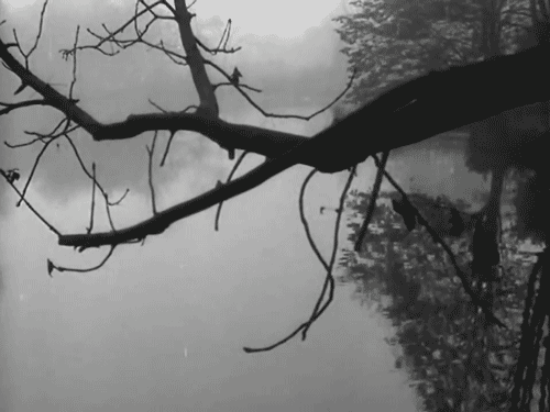 Brumes d& 039;automne Dimitri Kirsanoff 1929 Gif
