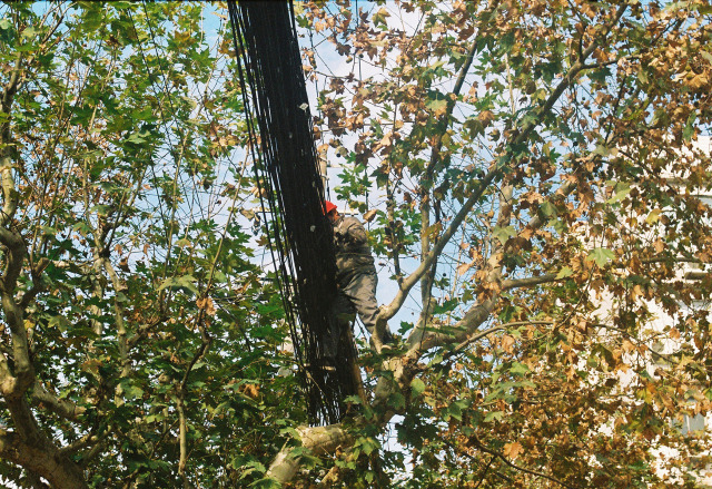 Man at Work 35mm, Lomography 800