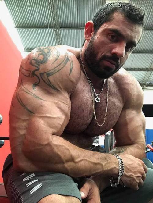 myfavoritemusclemen:Jorge Denzel