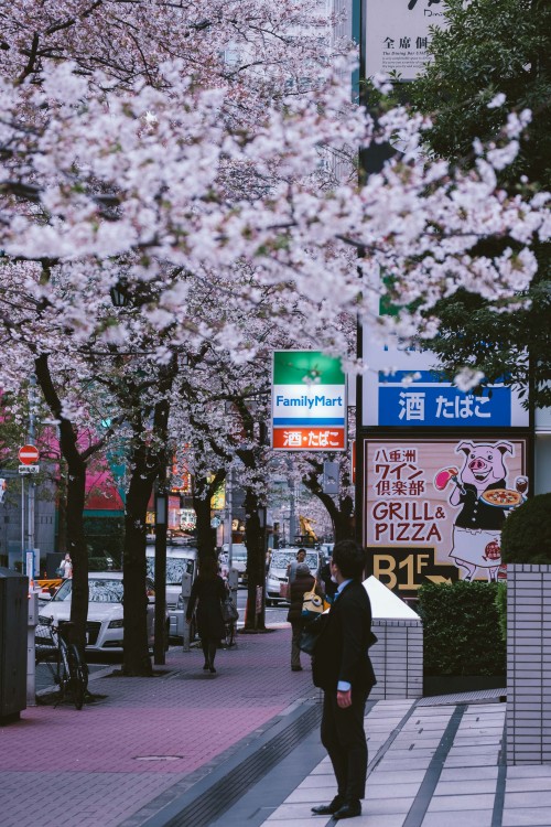 sleeplessintokyo87
