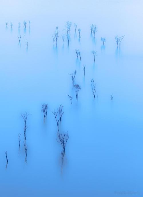 amazinglybeautifulphotography:Blue Hue - Lake Nakuru , Kenya...