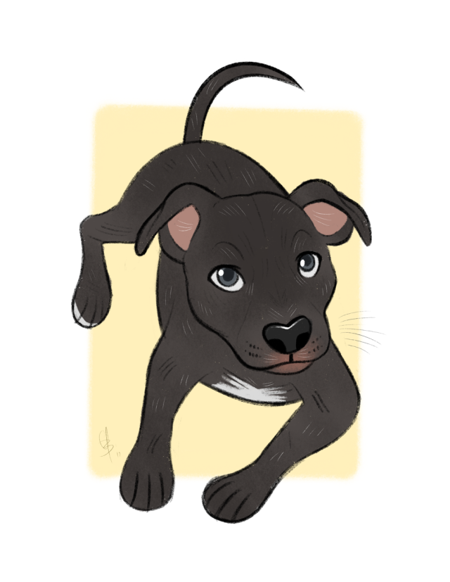 sims 4 cats and dogs breeding bug