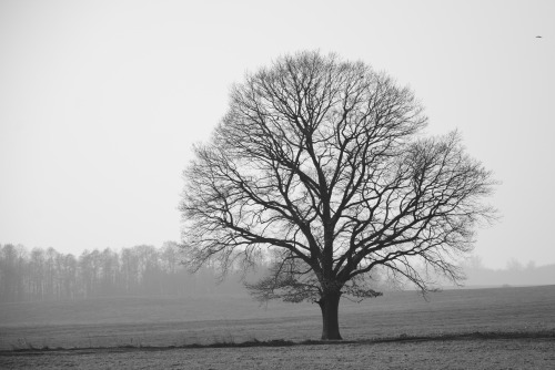 schwarz weiss fotografie Tumblr