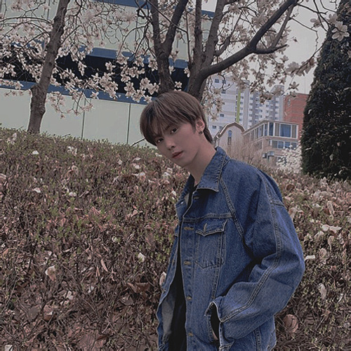 jkooks