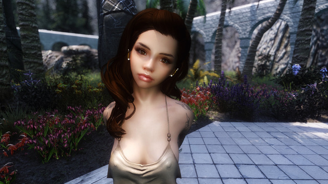 skyrim se thieves guild mod