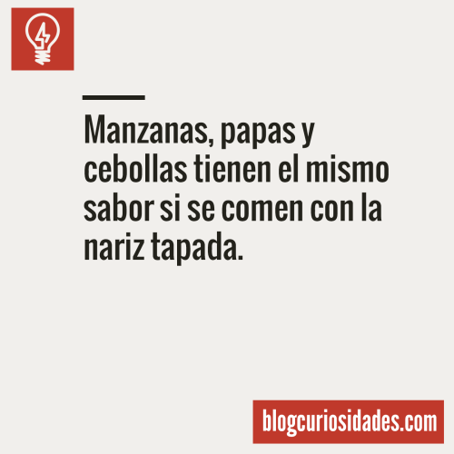 Blog Curiosidades