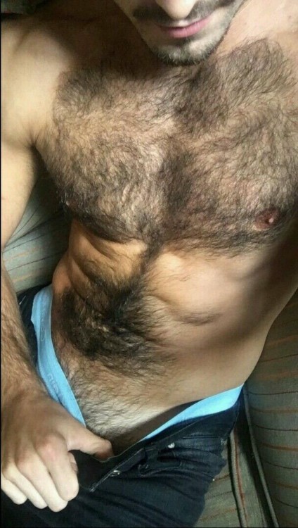 Hairy Men R The Hottest