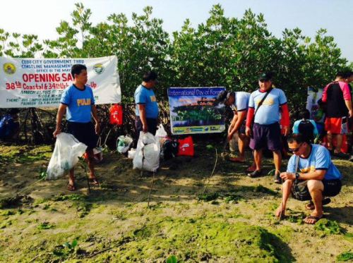 Everything Cordova - Cebu City Bantay Dagat Mangrove Planting at Shell...