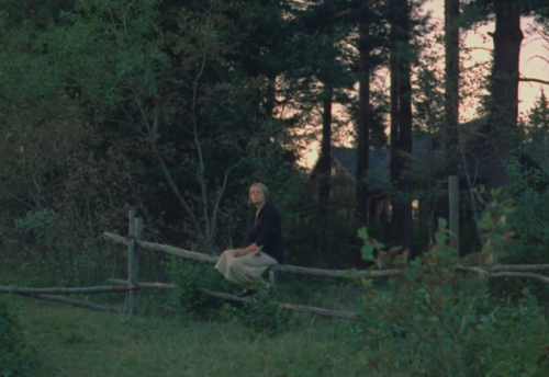 hirxeth:The Mirror (1975) dir. Andrei Tarkovsky