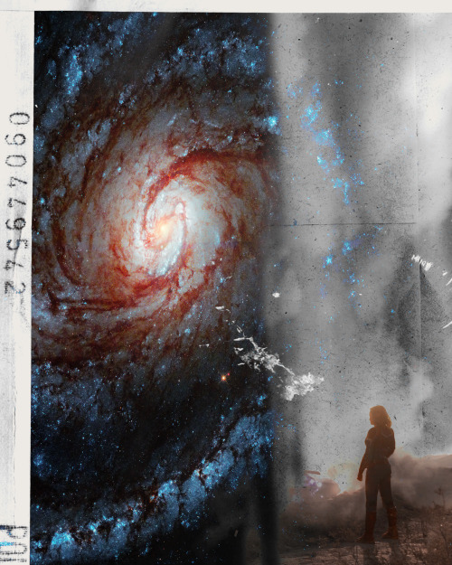 madmultiverse