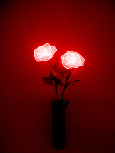 Featured image of post Red Rose Wallpaper Neon Red and black wallpaper phone wallpapers aesthetic roses