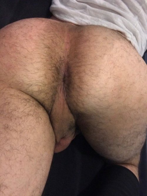 hornyhomo:We curate so you’re free to masturbate…...