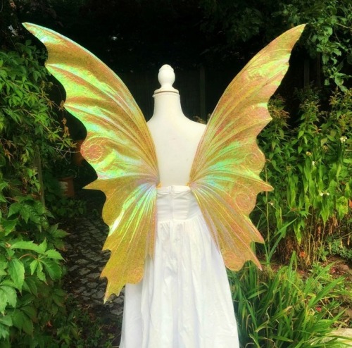 sosuperawesome:Fairy and Dragon WingsZAKIT on EtsySee our...