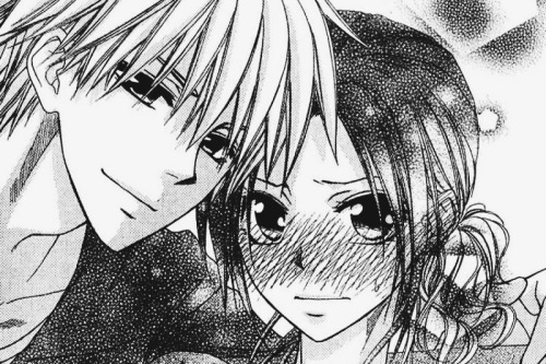 shoujo-himechii:MY TOP 10 SHOUJO MANGA•Vampire Knight...