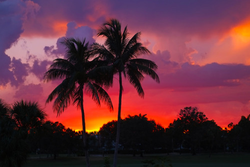 JULY SUNSET