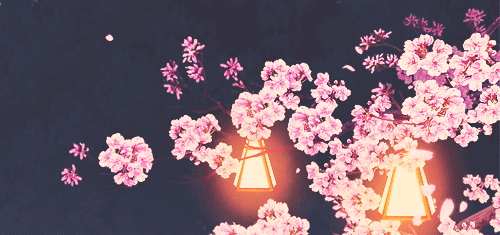  ! (๑•ิ.•ั๑ 桜 (sakura flower Tumblr_o8fwh5uDDd1uj1sb5o1_500