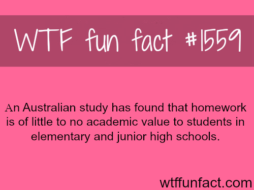Homework interesting facts