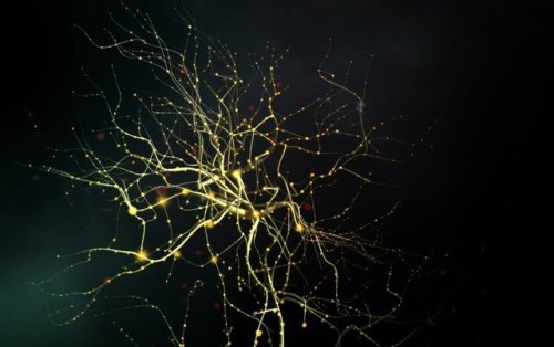 dailytechnologynews:With Brain Implants, Scientists Aim to...