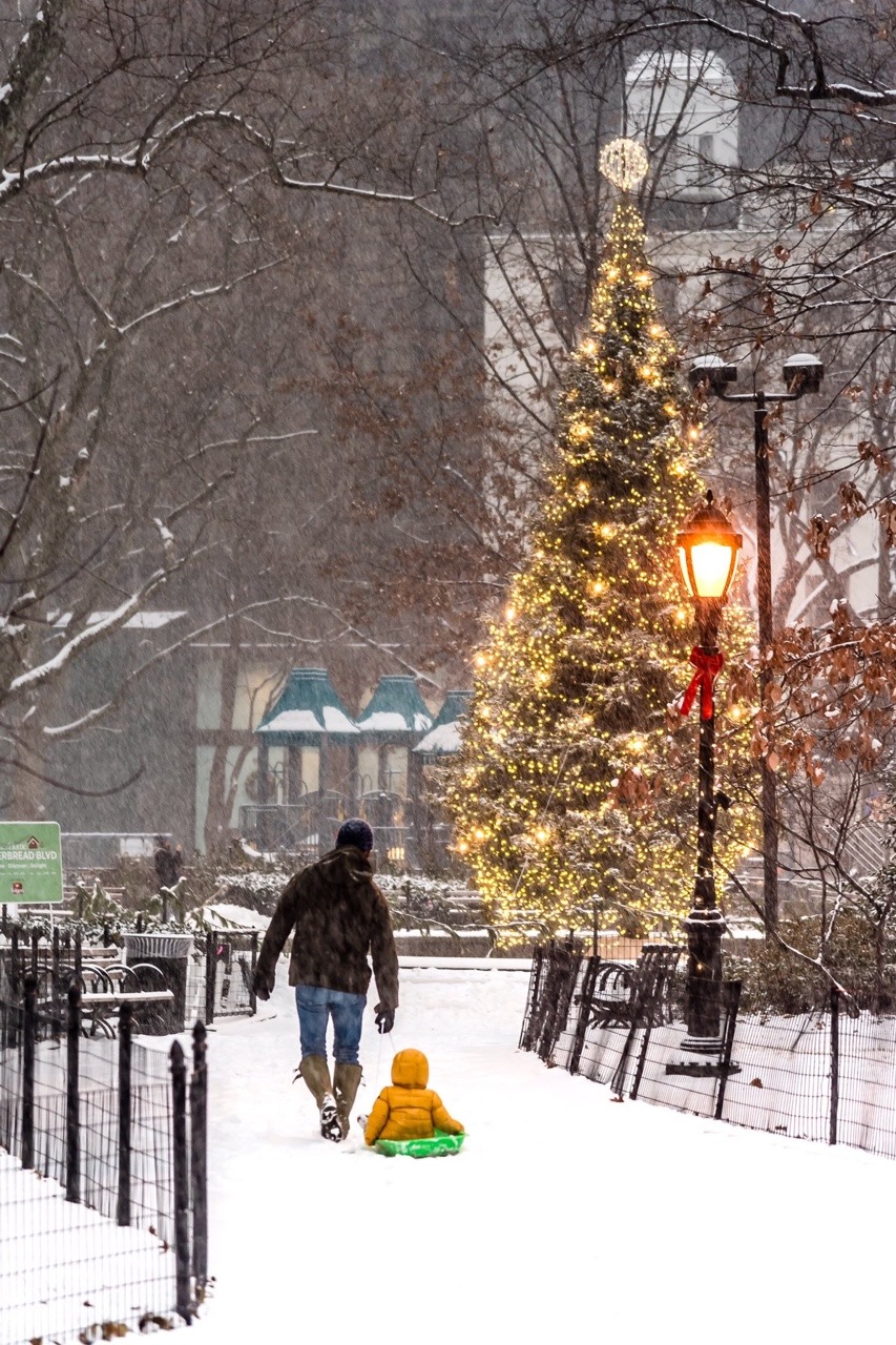 Christmas tree at Madison Square Park by Javan Ng Photography