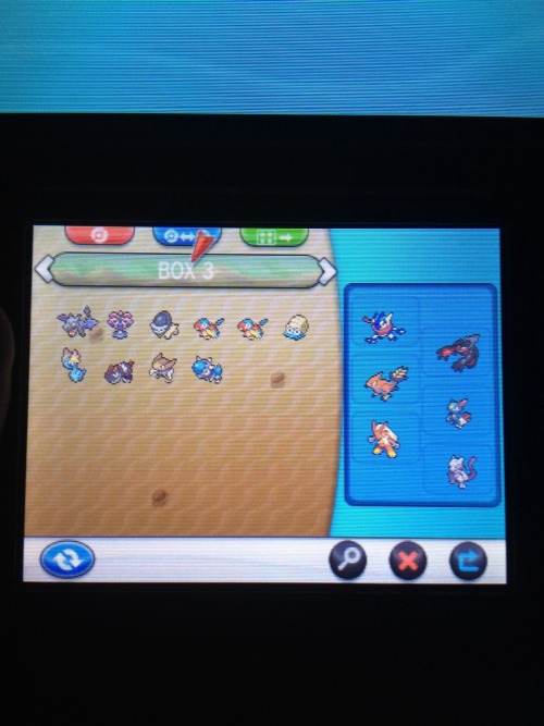 moobjob:This is my collection of pokemon (-5 whole boxes more)...