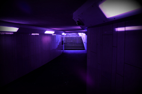 Glow Blog ☽ - purple glows
