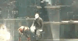 https://66.media.tumblr.com/30dd75a6ab9681f6782e6678c044ae21/tumblr_n3xg8n8GGI1sa8d5fo2_250.gif