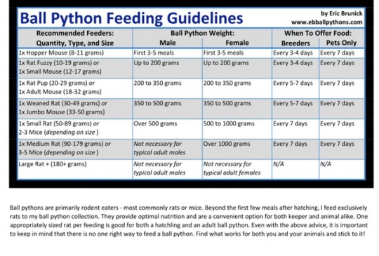 Royal Python Feeding Chart