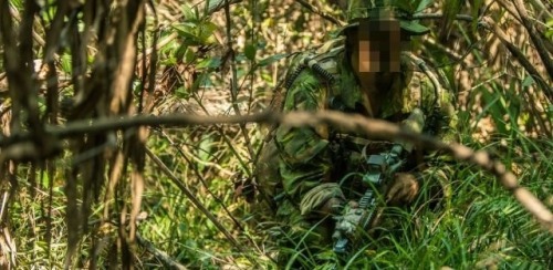 tacblog1:Multicam Tropical