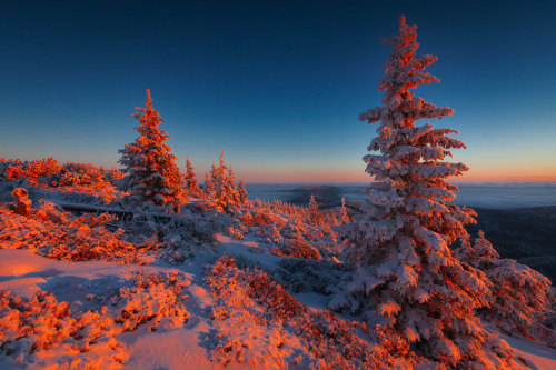 enchanting-landscapes:Winterlight by Iza and Darek