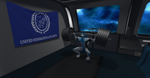 Starfleet Admiral Shadow morning workout - 1