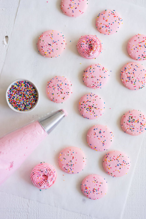 sweetoothgirl:vanilla macarons with vanilla bean buttercream