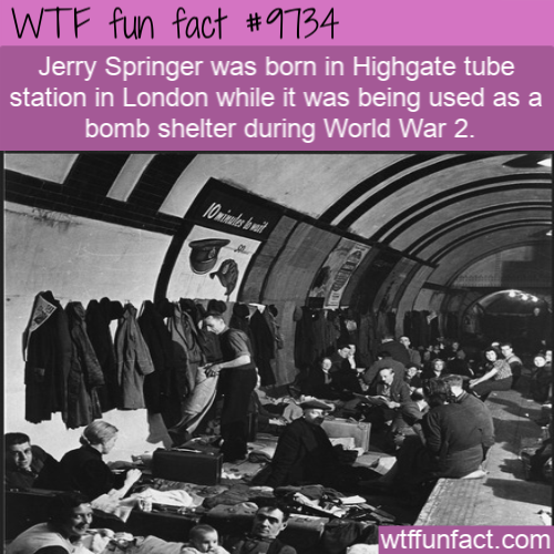 Amazing Random Fact: Jerry Springer was born in Highgate tube station in London while it was being used as a bomb shelter during World War 2.
