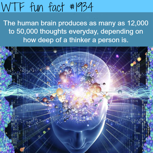 The Human Brain Facts - WTF Fun Facts