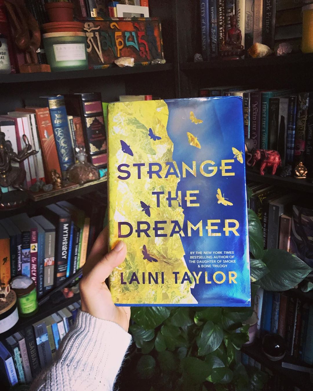 I think about Lazlo Strange so often, it hurts my heart a little. Is there a character that you’re just never going to let go of? . #maryreads #amreading #reading #readersofinstagram #books #booklover #bookish #bookreview #bookstagram...