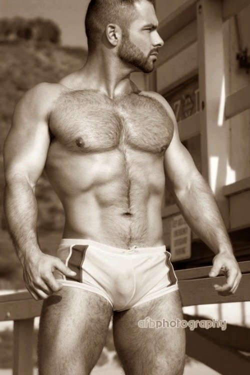 Daddies, bears, cubs, muscles, and big hairy men