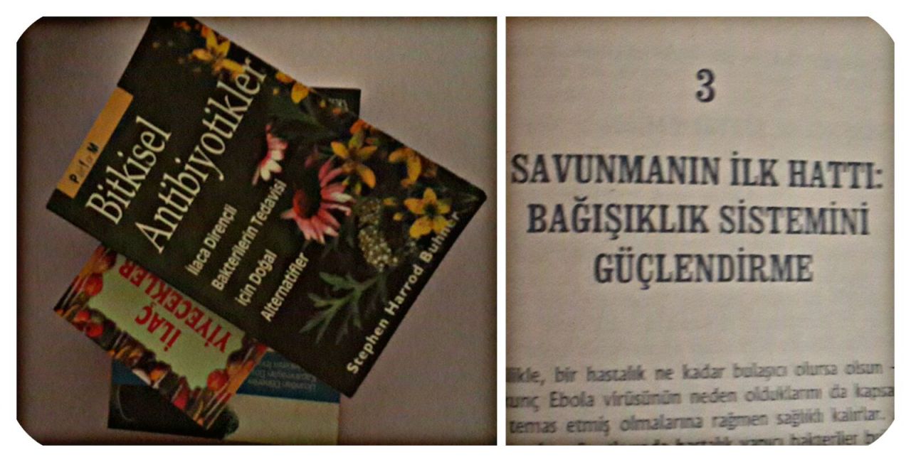 İlaç Niyetine Bile Olsa Bağışıklık Sisteminiz İçin Mutlaka Tüketmeniz Gereken 13 Besin 39