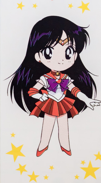 Eternal Sailor Jupiter Tumblr