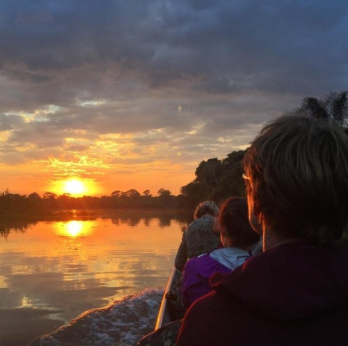 Buongiorno dal Pantanal