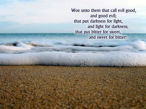 Image result for woe to those who call evil good kjv