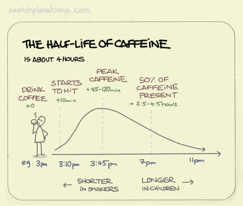 Half Life Chart