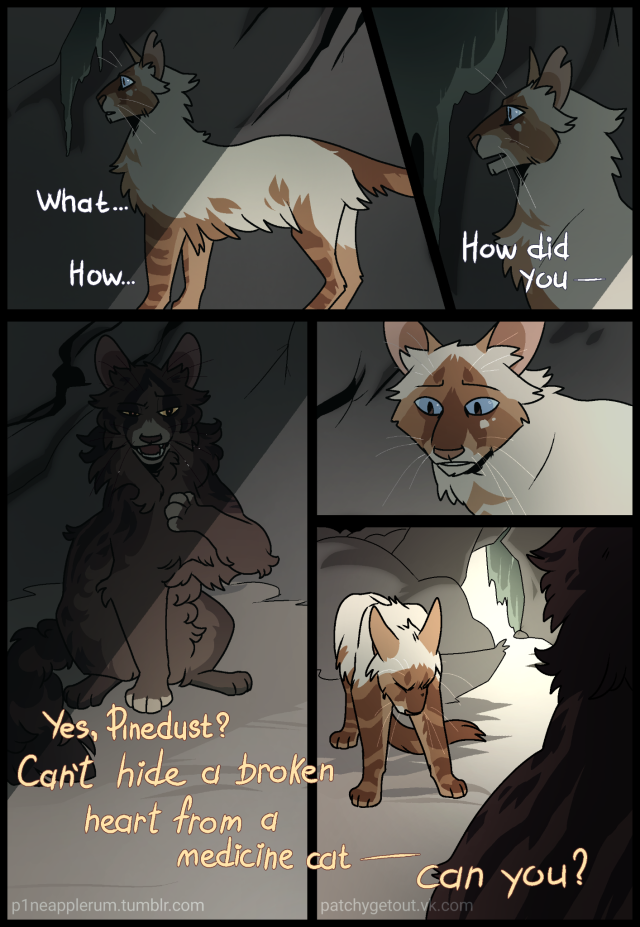 warrior cats original oc | Tumblr