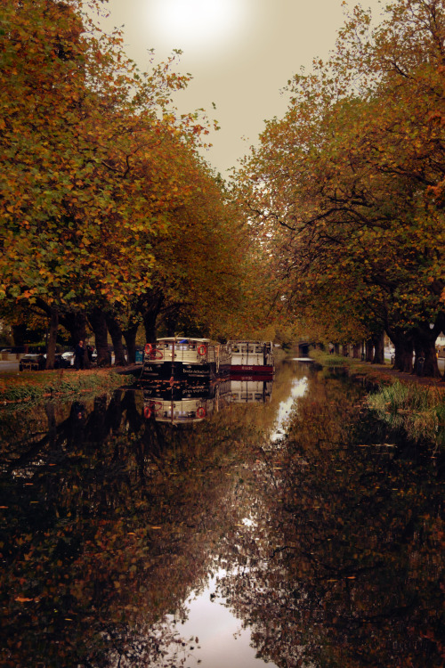 sean-o-neill-photography:The Grand Canal, Dublin