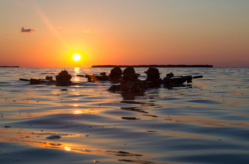 gunrunnerhell:KampfschwimmerGerman Special Forces Combat...