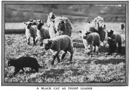 yesterdaysprint:The Graphic, England, March 30, 1929