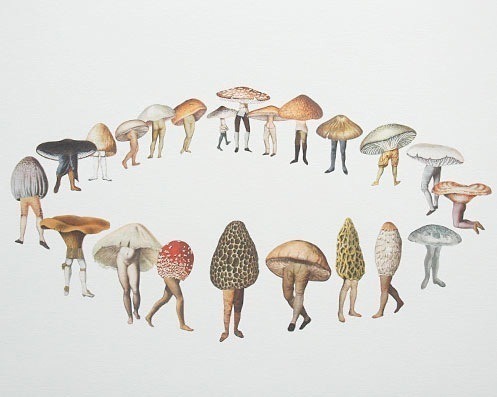 werkhvnty:mementomoriiv:Amy Ross - Mushroom Circle@gingbat