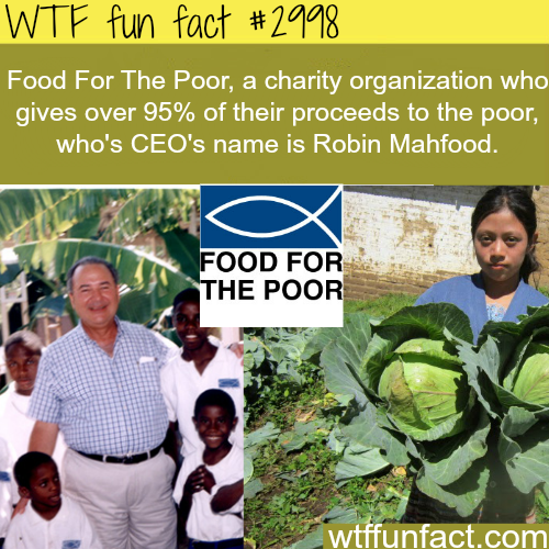 the ceo of food